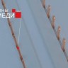 Шина соединительная типа PIN для 1-ф нагр. 63А 12 мод. PROxima EKF pin-01-63-12