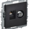Розетка компьютерная + телевизионная 2-м Brite РТВ/РК12-БрЧ RJ45 кат.5E + TV механизм черн. IEK BR-AK20-1-K02