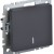 Выключатель 1-кл. СП BRITE ВС10-1-1-БрГ 10А с индик. механизм графит IEK BR-V10-1-10-K53