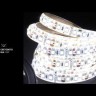 Лента светодиодная Black 2835/120-SMD 6.5Вт/м 5000К холод. бел. IP20 600лм/м 24В (блист.5м) GAUSS 312000265