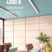 Лампа светодиодная 10Вт T8 линейная 4000К нейтр. бел. G13 220В 600мм glass КОСМОС Lksm_LED10wG13T840GL