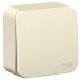 Выключатель 1-кл. ОП Blanca 10А IP20 (сх. 1) 250В с изолир. пластиной молочн. SE BLNVA101012