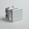 Коробка распределительная ОП 70х70х40мм 7 вводов IP55 сер. Ruvinil 67030