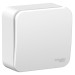 Выключатель 1-кл. ОП Blanca 6А IP20 (сх. 1) 250В с изолир. пластиной бел. SE BLNVA061011