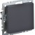 Выключатель 1-кл. СП BRITE ВС10-1-0-БрГ 10А механизм графит IEK BR-V10-0-10-K53