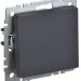 Выключатель 1-кл. СП BRITE ВС10-1-0-БрГ 10А механизм графит IEK BR-V10-0-10-K53