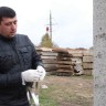 Инструмент для натяжения ленты на опорах ИН-20 КВТ 63026