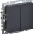 Выключатель 2-кл. СП BRITE ВС10-2-0-БрГ 10А механизм графит IEK BR-V20-0-10-K53