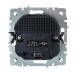 Розетка BRITE РЮш10-1-БрА 16А с USB A+A 2.1А с заземл. защ. шторки механизм алюм. IEK BR-R14-16-U21-D21-K47