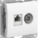 Розетка компьютерная + телевизионная 2-м Glossa RJ45 кат.5E + TV механизм бел. SE GSL000189