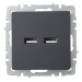 Розетка BRITE USB A+A 3.1А РЮ10-1-БрГ механизм графит IEK BR-U21-D31-K53