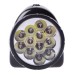 Фонарь-прожектор аккумуляторный TSP12 12 + 18LED аккум. 4В 1.8А.ч ЗУ 220В (картон. упак.) Трофи C0045551