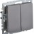 Выключатель 2-кл. СП BRITE ВС10-2-0-БрС 10А механизм сталь IEK BR-V20-0-10-K46