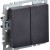 Выключатель 2-кл. СП BRITE ВС10-2-0-БрЧ 10А механизм черн. IEK BR-V20-0-10-K02