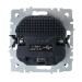 Розетка BRITE РЮш10-2-БрЧ 16А с USB A+A 3.1А с заземл. защ. шторки механизм черн. IEK BR-R14-16-U21-D31-K02