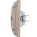 Розетка компьютерная 1-м СП Mira RJ45 16А IP20 со вставкой свет. корич. перламутр. LEZARD 701-3131-139