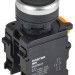 Кнопка d22мм 1НО+1НЗ MASTER черн. IEK MI-BT60-11-3-22-K02