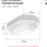 Светильник светодиодный СПП 2065-ОВАЛ 20Вт 6500К IP65 1800лм 195х94мм герметичный IN HOME 4690612049304