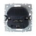Розетка BRITE РЮш10-1-БрЧ 16А с USB A+A 2.1А с заземл. защ. шторки механизм черн. IEK BR-R14-16-U21-D21-K02
