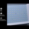 Прожектор светодиодный Elementary 100Вт 6500К IP65 9500лм 170-264В ДО черн. GAUSS 613100100