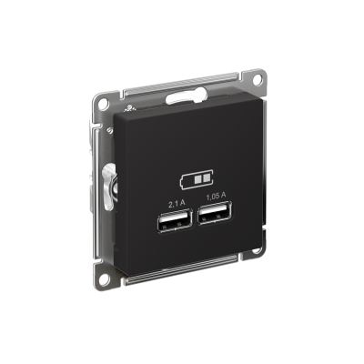 Розетка USB AtlasDesign тип A+A 5В 1х2.1А 2х1.05А механизм карбон SE ATN001033