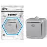 Выключатель 1-кл. ОП Dita IP54 10А 250В с индикацией сер. TOKOV ELECTRIC TKL-DT-V1I-C06-IP54