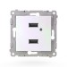 Розетка 2-м USB СП Pixel тип A+A 5В 1х2.1А 2х1.05А механизм перламутр. TOKOV ELECTRIC TKE-PX-2USB-C04