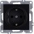 Розетка 1-м СП LAVIN/KAREN 16А IP20 с заземл. механизм черн. ARVIA 50 07 2000 217